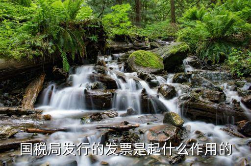 國家稅務局發票有什么用，發票有哪些作用呢