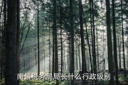 稅務局局長是什么級別，金河鎮稅務務局局長是什么級別
