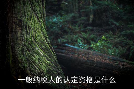 一般納稅人資格證是什么，請問一般納稅人應有什么證