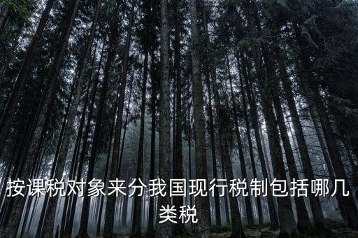 什么是現行稅收制度，說明中國現行稅制增值稅的具體稅制要素有哪些