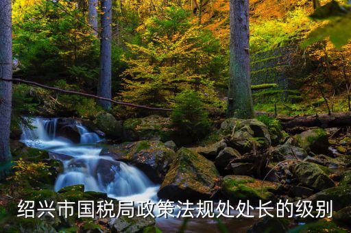紹興市國稅局政策法規處處長的級別