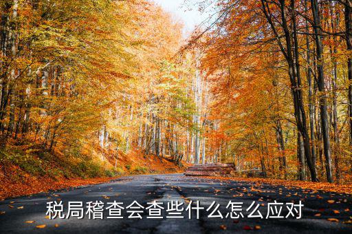 發票稽查查什么，稅局稽查會查些什么怎么應對