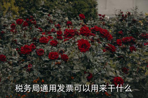 稅務局通用發票可以用來干什么