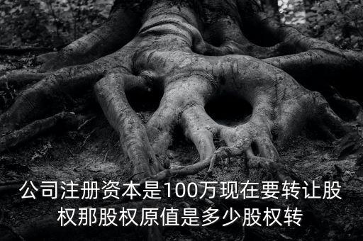 股權原值是什么意思，公司注冊資本是100萬現在要轉讓股權那股權原值是多少股權轉