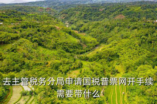 去主管稅務(wù)分局申請(qǐng)國(guó)稅普票網(wǎng)開手續(xù)需要帶什么