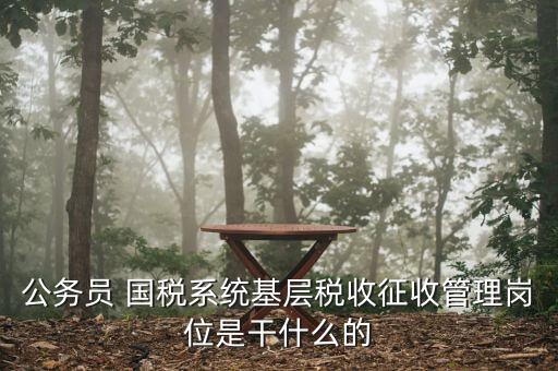 公務員 國稅系統基層稅收征收管理崗位是干什么的