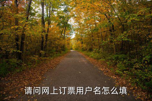 預約發票用戶名是什么，開票客戶名稱是指