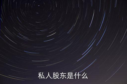 什么是個人股東，什么叫做私人股東啊