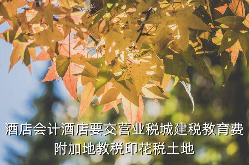 酒店會計酒店要交營業稅城建稅教育費附加地教稅印花稅土地