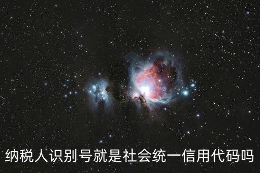 納稅人識別號就是社會統一信用代碼嗎