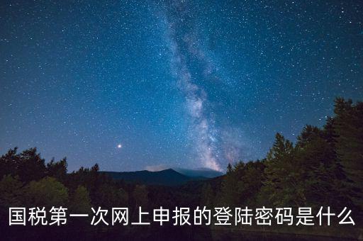 國稅登錄賬號密碼是什么意思，國稅第一次網上申報的登陸密碼是什么