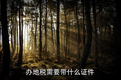 地稅局是辦理什么手續，地稅局開發票需要辦什么手續