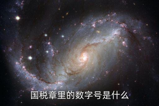 國稅章里的數字號是什么