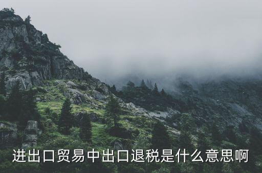 什么是增值稅出口退稅，出口退稅指的是什么