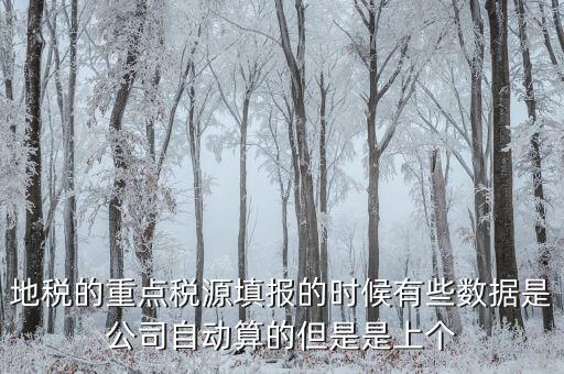 為什么重點稅源是上個月的數據，地稅的重點稅源填報的時候有些數據是公司自動算的但是是上個