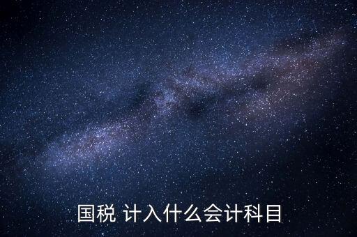國稅申報記入什么科目，付國稅應計入什么科目求解啊