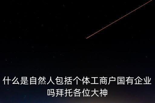稅務上的自然人指的是什么，申請人為自然人的是什么意思