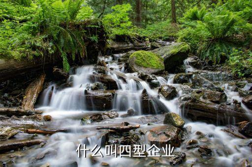 什么叫四類企業，企業分哪些種類