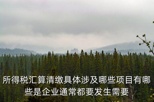 所得稅匯算清繳具體涉及哪些項目有哪些是企業通常都要發生需要
