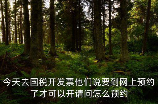 今天去國稅開發票他們說要到網上預約了才可以開請問怎么預約