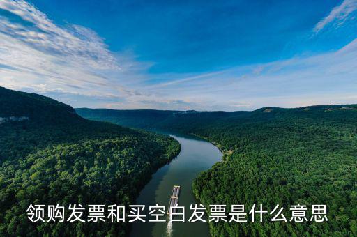 領購發票和買空白發票是什么意思