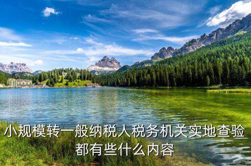 小規模轉一般納稅人稅務機關實地查驗都有些什么內容