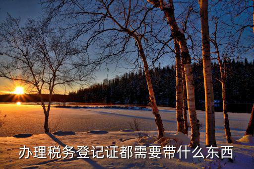 辦理稅務登記證都需要帶什么東西