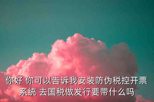 你好 你可以告訴我安裝防偽稅控開票系統 去國稅做發行要帶什么嗎