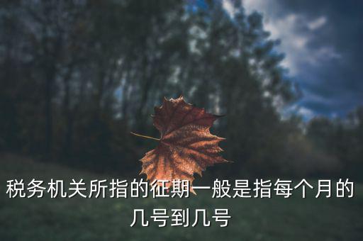 什么時(shí)候可以建立征期，北京國(guó)稅網(wǎng)上申報(bào)系統(tǒng)是不是只能在每個(gè)月初才可以新建征期呢我
