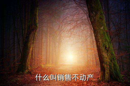 銷售不動產構筑物是什么，計算交納稅金時企業銷售房屋建筑物等不動產按照稅法的有關
