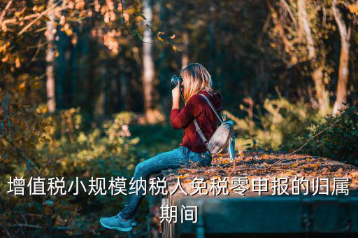 增值稅小規模納稅人免稅零申報的歸屬期間