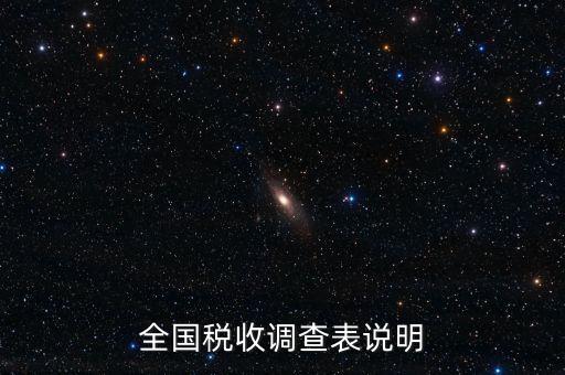 全國(guó)稅收調(diào)查表說明
