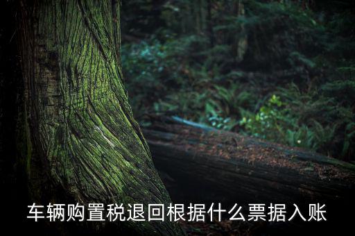 車輛購置稅退回根據什么票據入賬