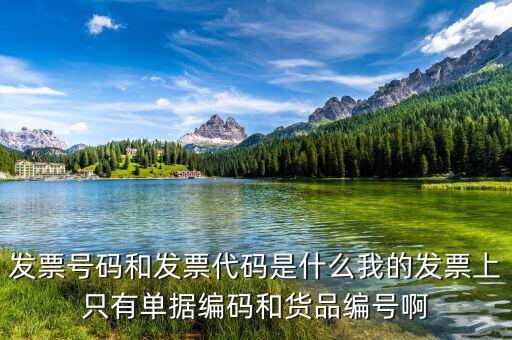 發票號碼和發票代碼是什么我的發票上只有單據編碼和貨品編號啊