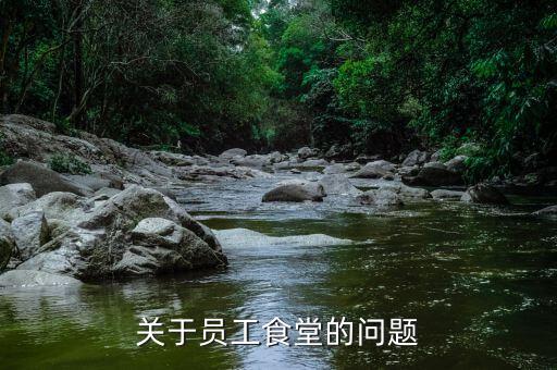 為什么國稅局有食堂，為什么高校食堂只免三年的增值稅