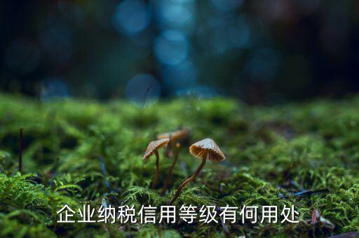 納稅等級有什么用，請問什么是分級別納稅信用單位怎么得到這種稱號得到了又有啥好