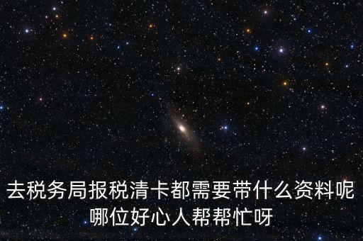 打稅務清單需要帶什么，我是個體商戶營業執照掉了想去打印一份稅務清單需要帶些什么