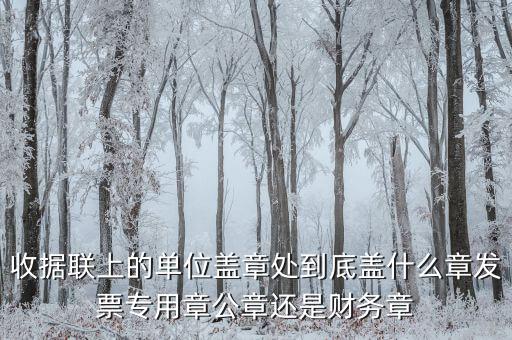 收據蓋章蓋是什么樣，收據上蓋什么章