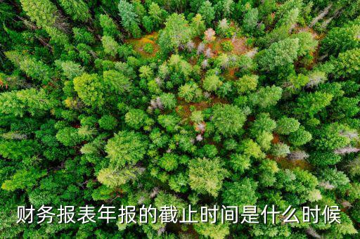 財務報表年報的截止時間是什么時候