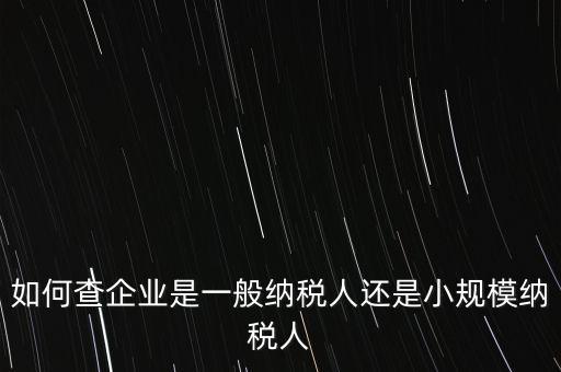 查詢公司什么納稅人，如何查企業(yè)是一般納稅人還是小規(guī)模納稅人