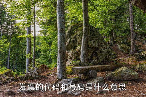 發票的代碼和號碼是什么意思