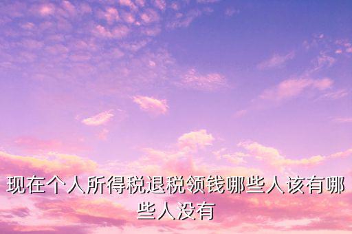 現在個人所得稅退稅領錢哪些人該有哪些人沒有