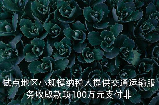 試點地區小規模納稅人提供交通運輸服務收取款項100萬元支付非