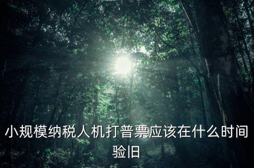 小規模納稅人機打普票應該在什么時間驗舊
