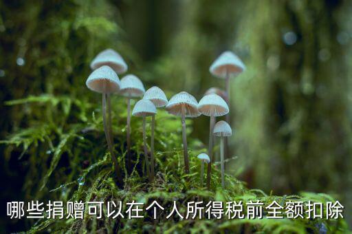 什么捐贈可以稅前扣除，求助企業在所得稅前可以扣除的捐贈支出