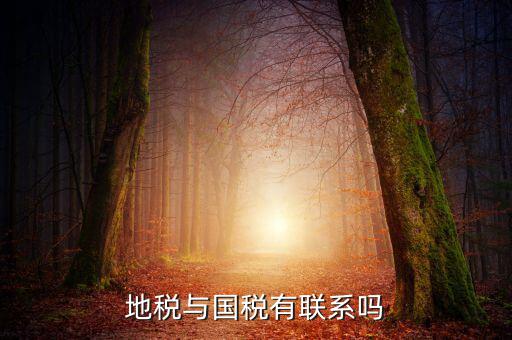 地稅與國稅有聯系嗎