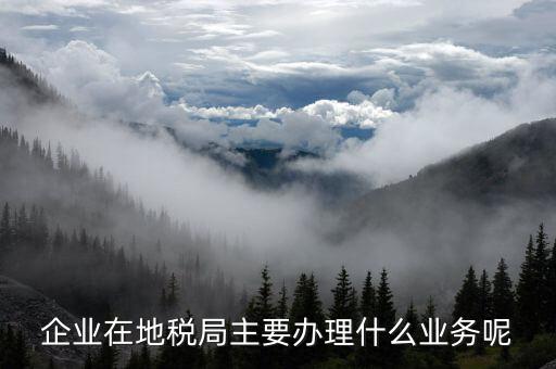 廣州地稅辦理什么業務，廣州稅務登記