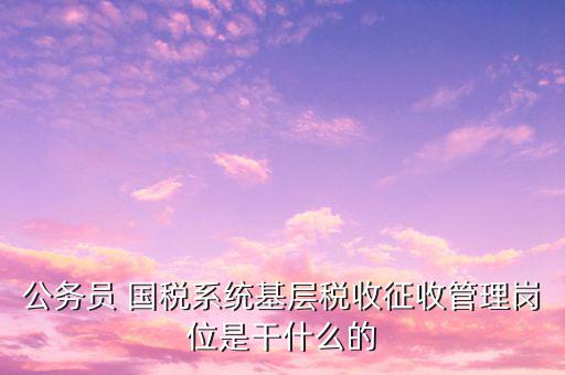 公務員 國稅系統基層稅收征收管理崗位是干什么的