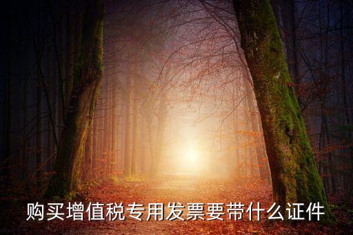 購買增值稅專用發票要帶什么證件