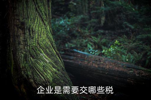 企業是需要交哪些稅
